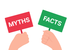 debunking the top myths about window film